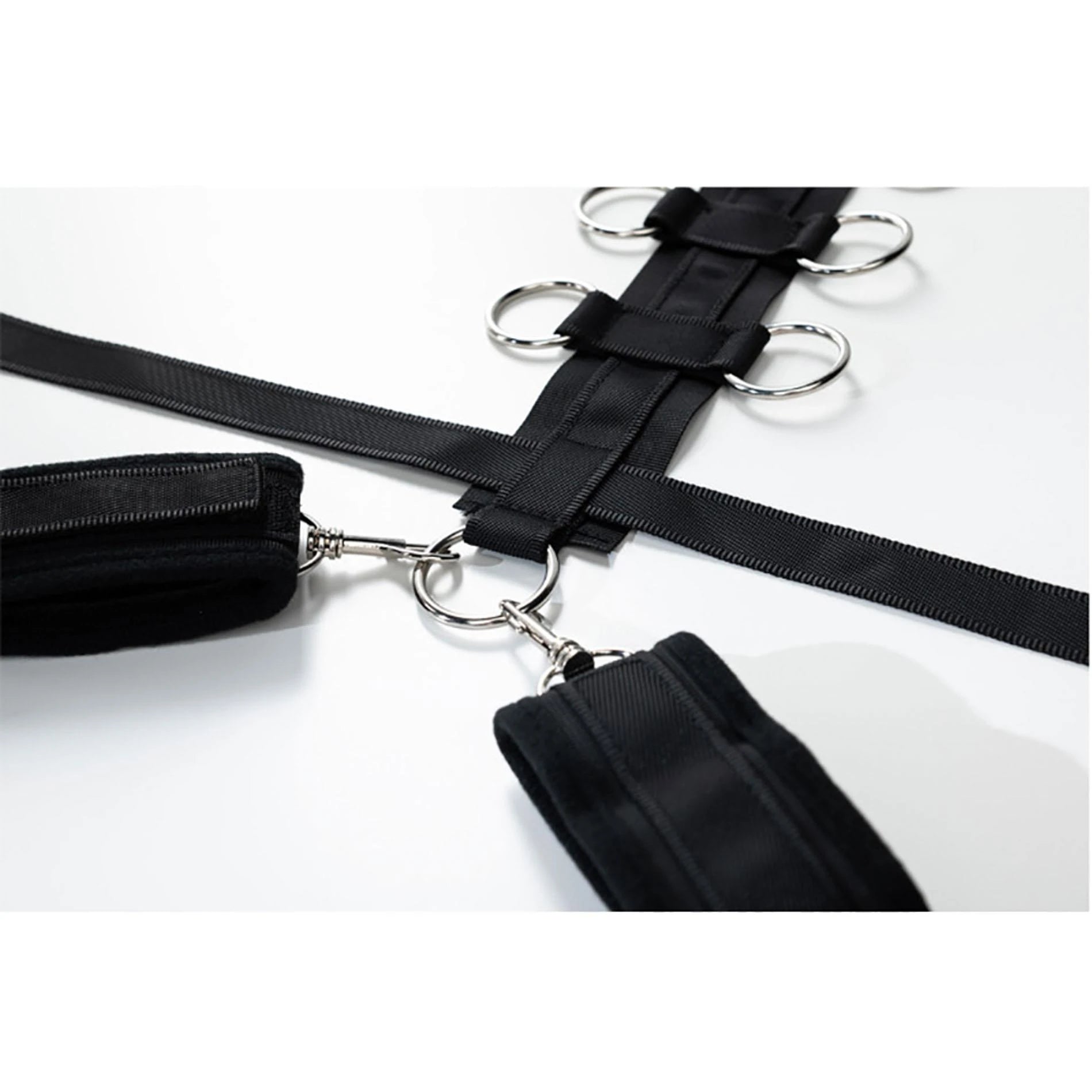 Harness with adjustable neck, belt and breastplate with rings