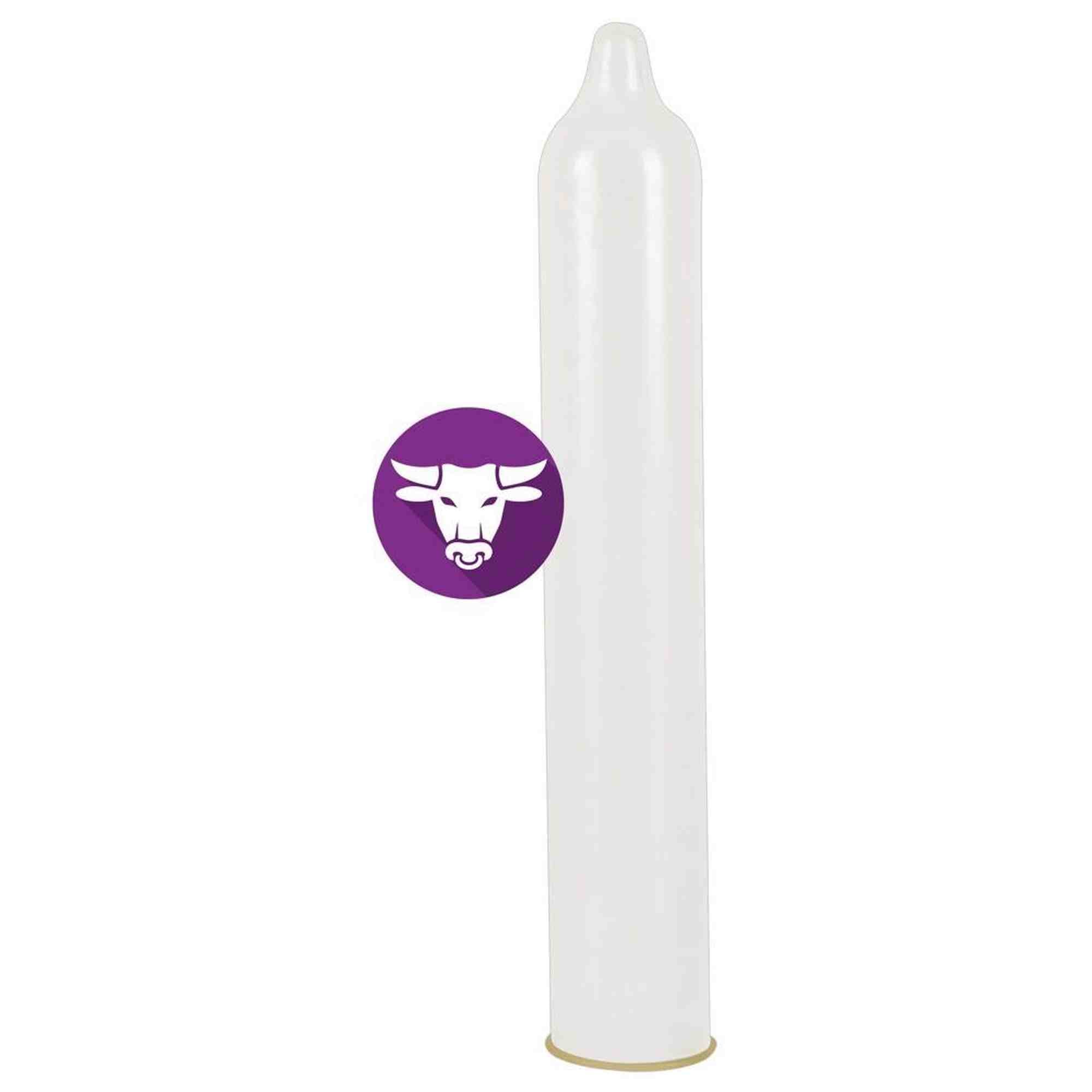 Secura El Toro pack of 24