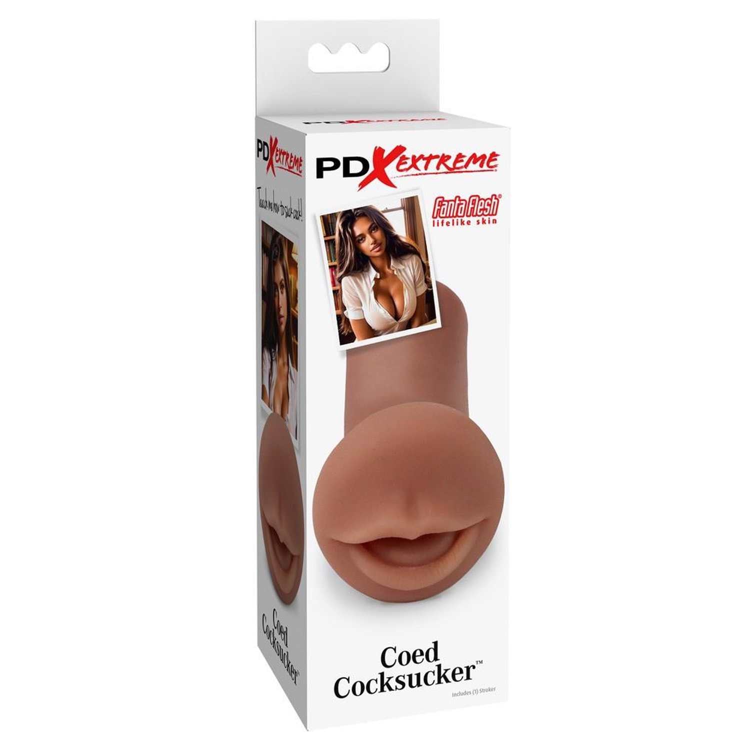 PDXE Cochon brun en coq