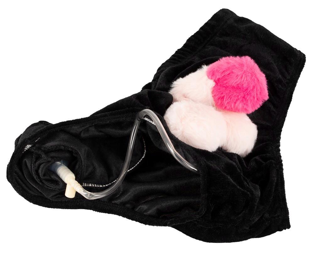 Penis Briefs