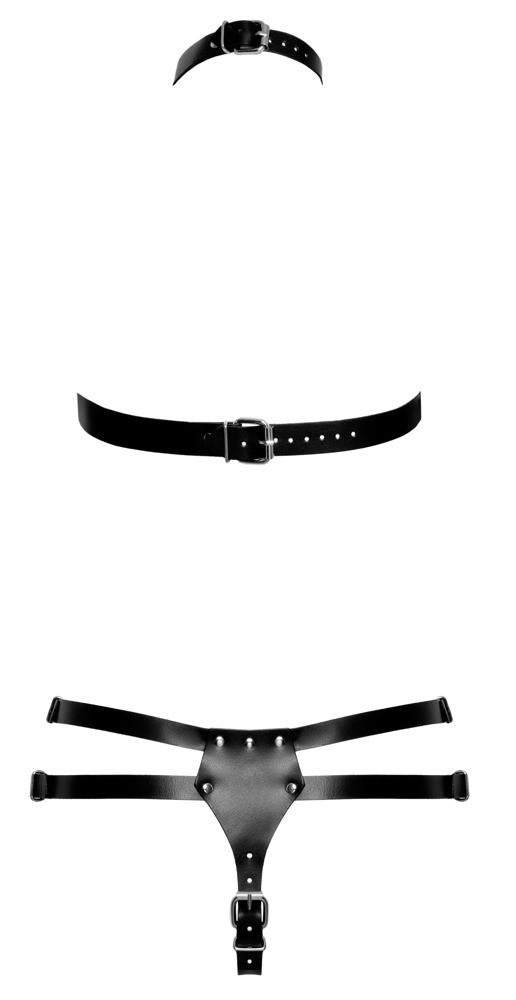 Ensemble de harnais en cuir 2XL