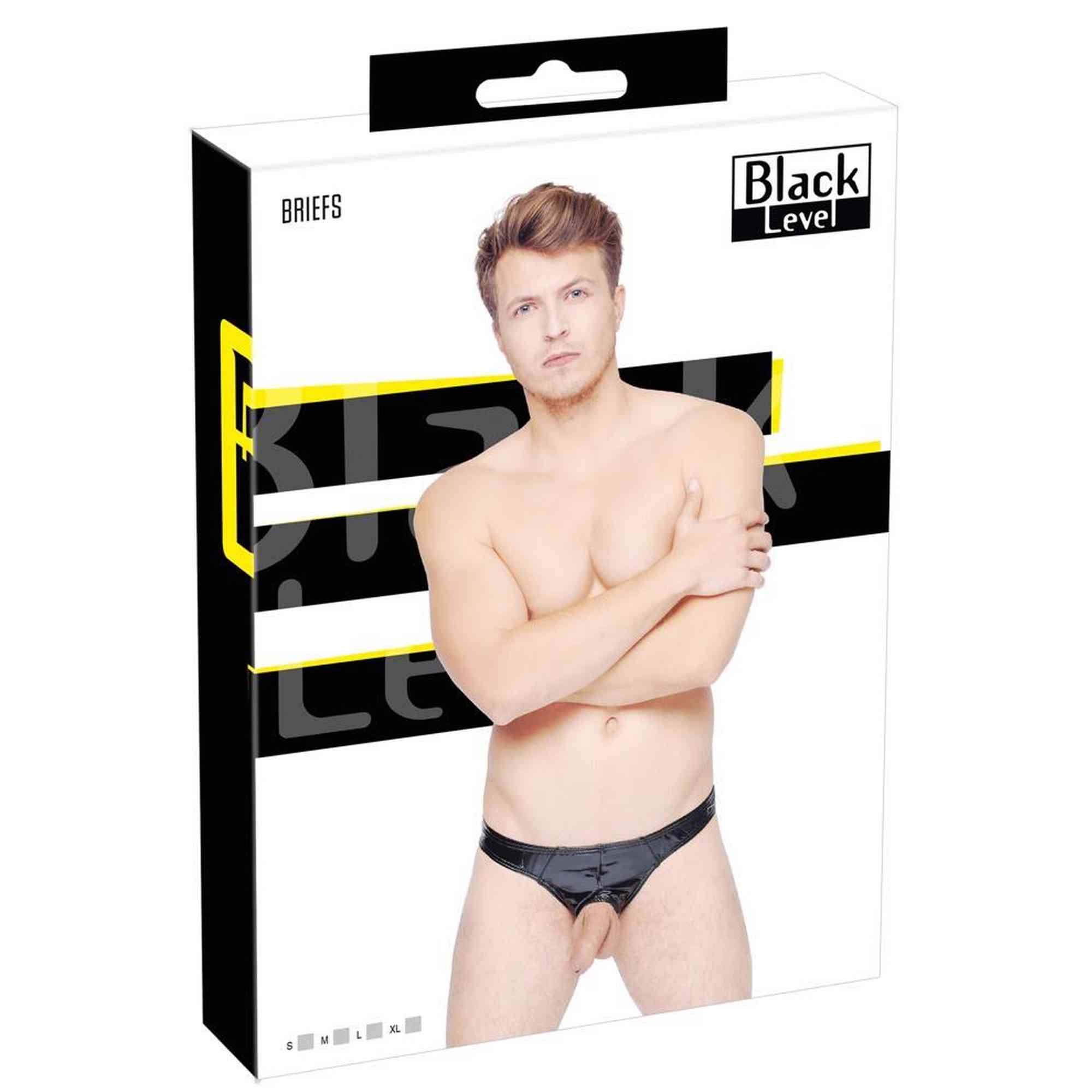Briefs