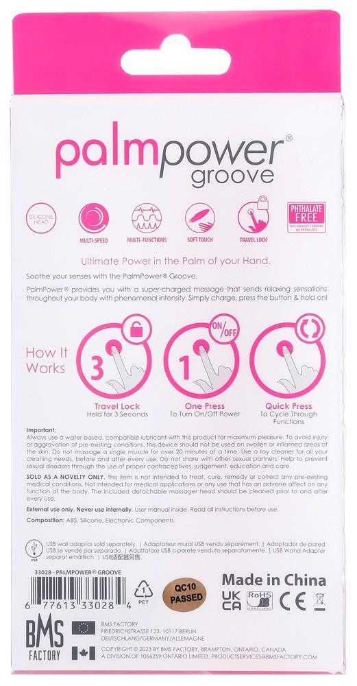 PalmPower Groove Mini Wand Sex Toy