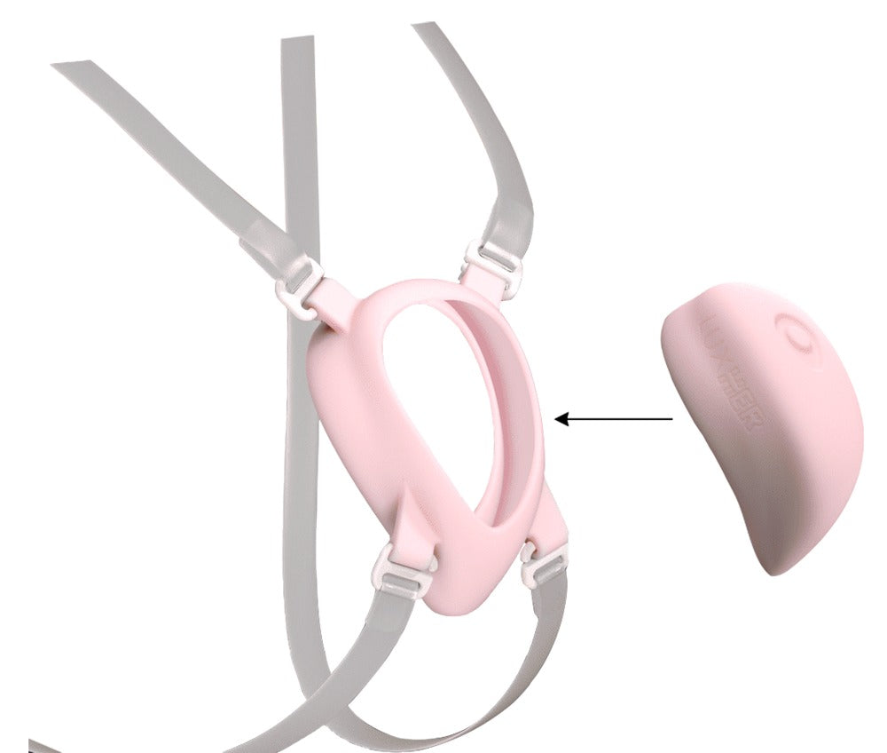 Harness