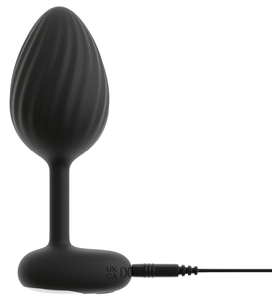 RC Butt Plug Set with Vibration