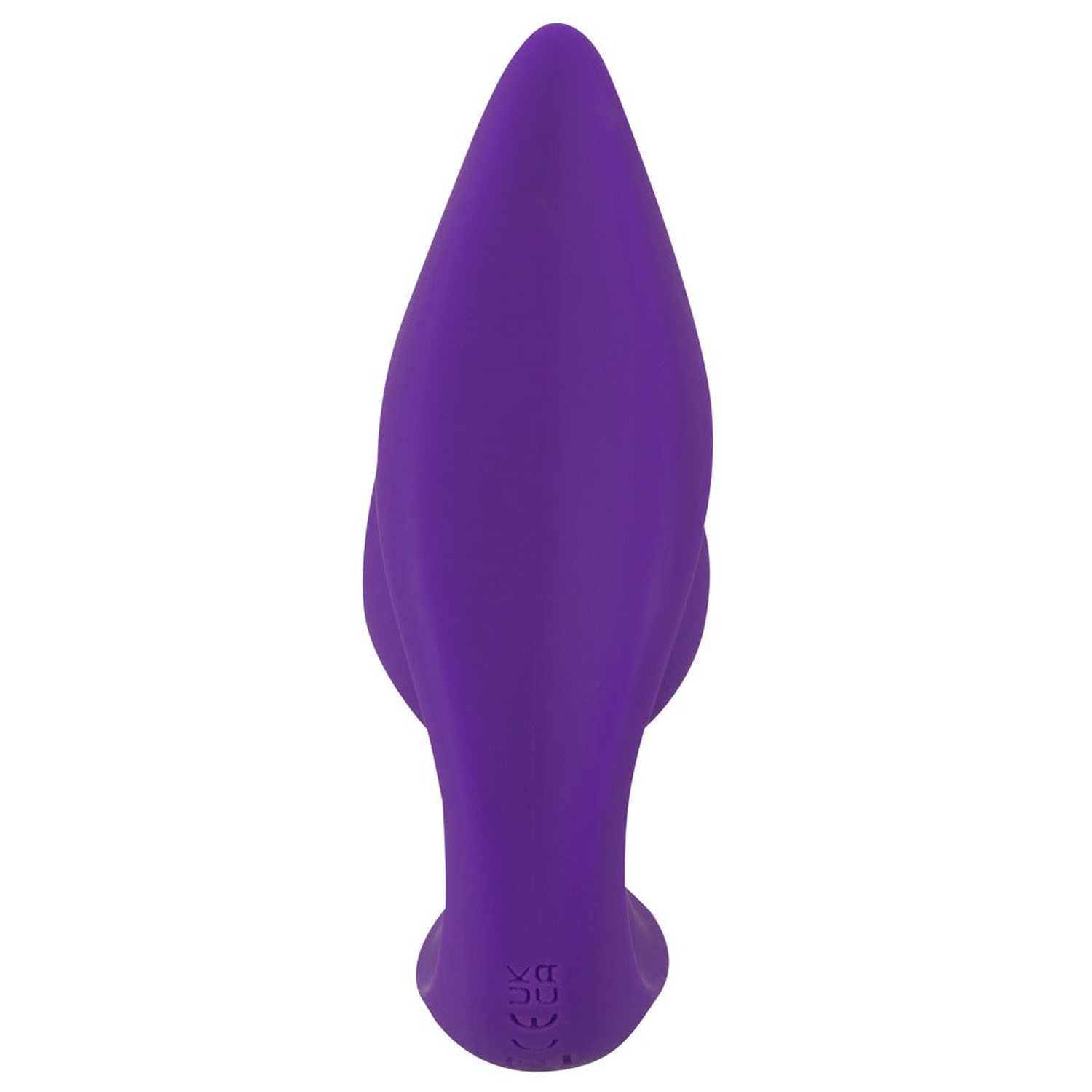 RC 2 in 1 Plug & Panty Vibe