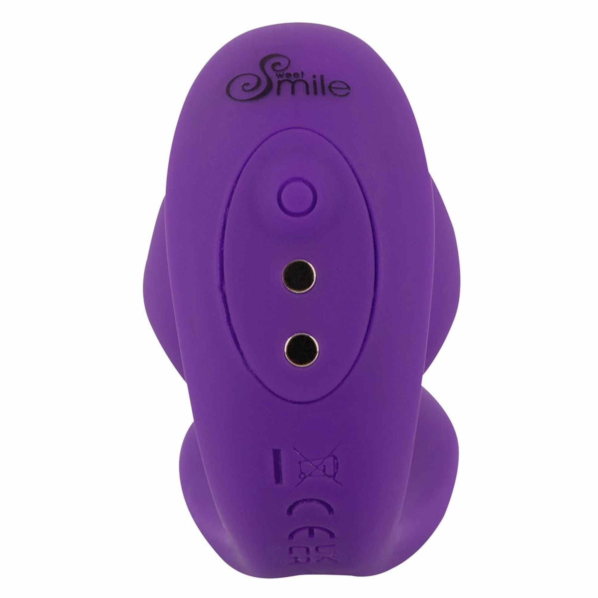 RC 2 in 1 Plug & Panty Vibe
