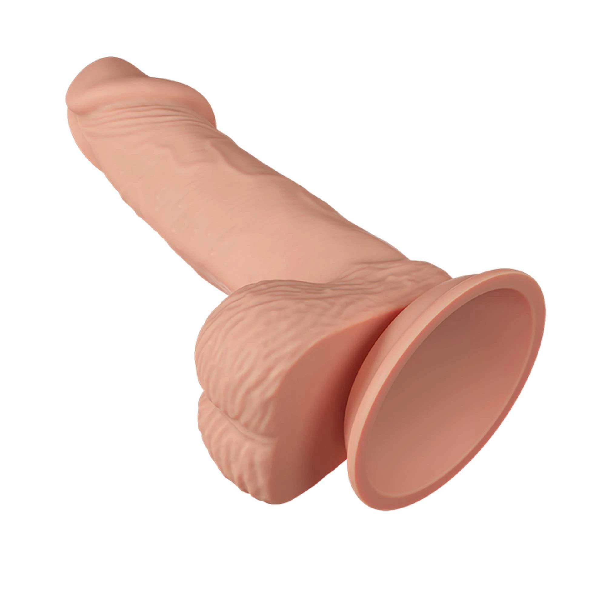 BAILE-Beautiful Zebulon 7.6″″