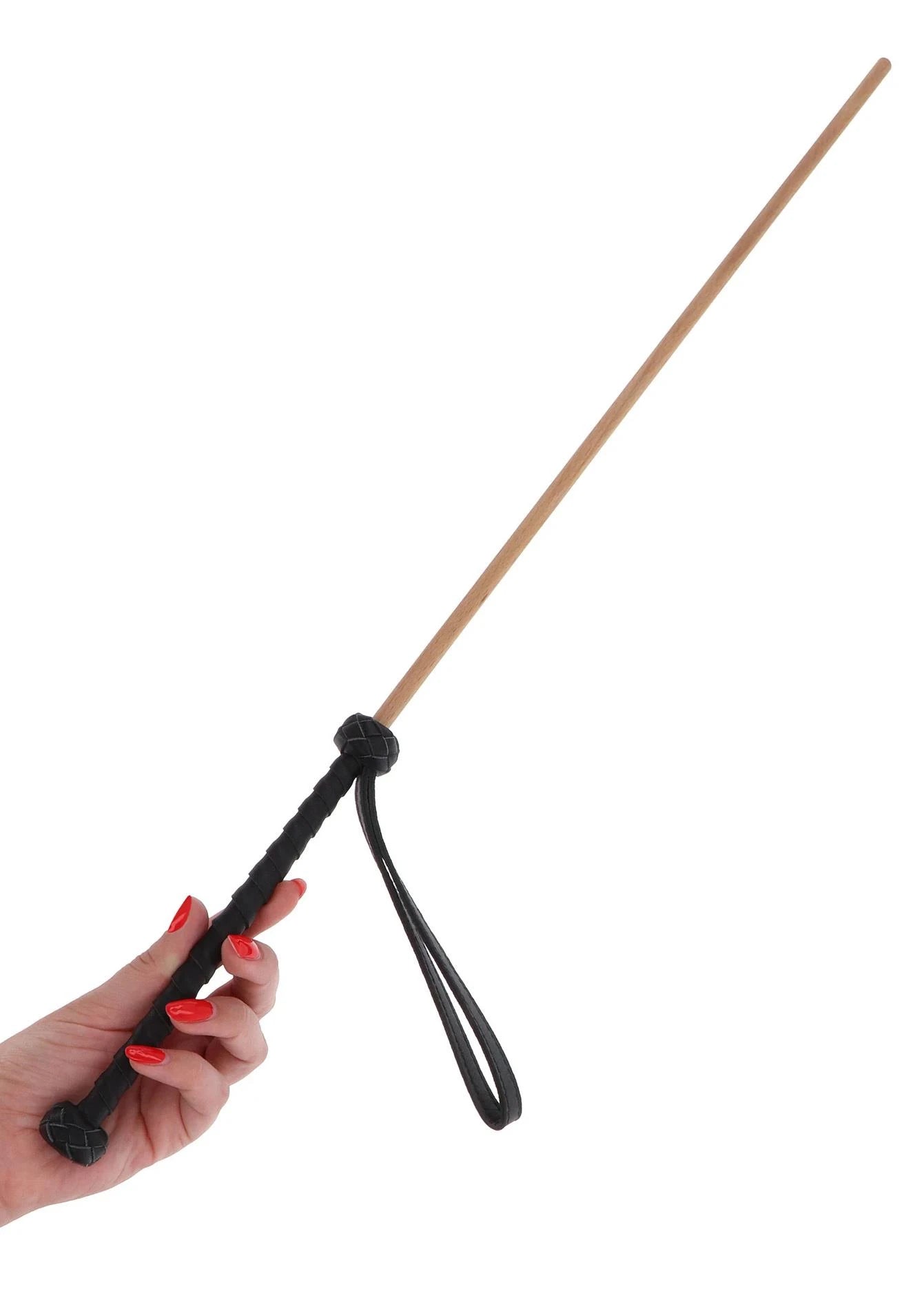 The Obedience Cane
