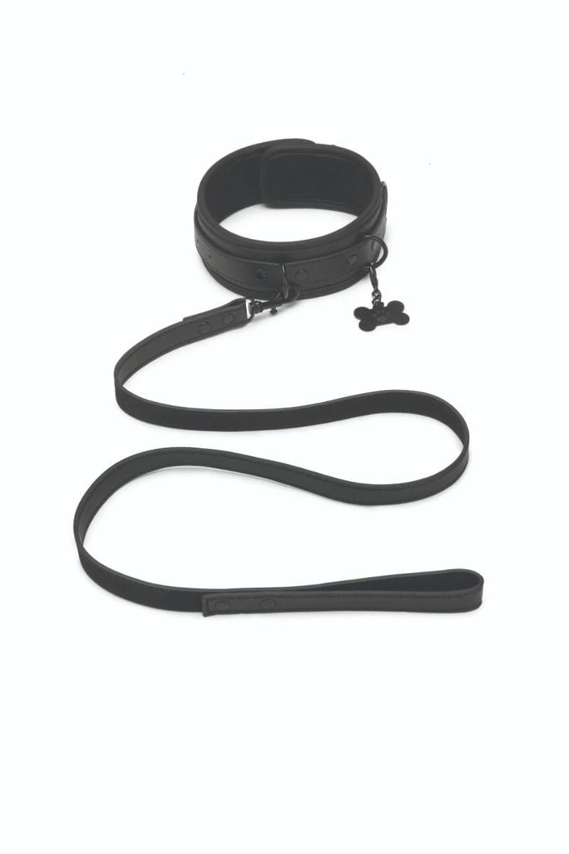 Prowler RED Collier et Laisse