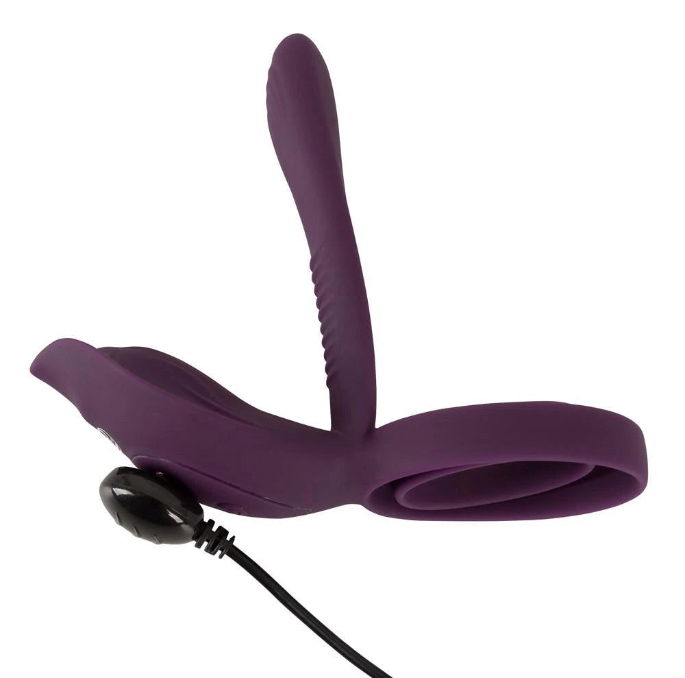 RC Couple‘s Vibrator 2