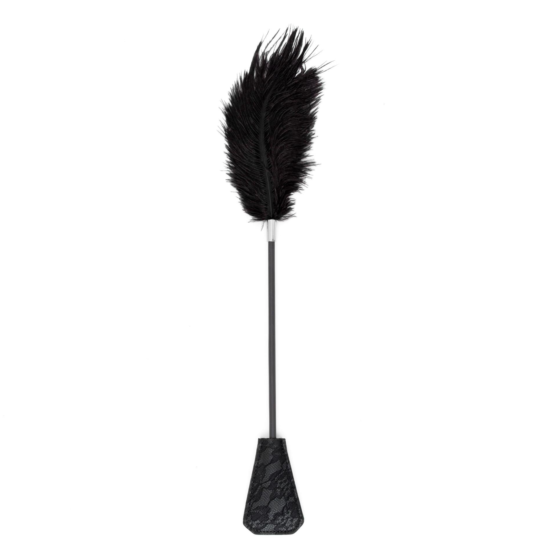 Fetish B-Series Tickler et Fouet 1.0