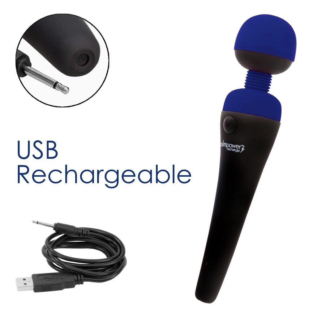 palmpower recharge bleu