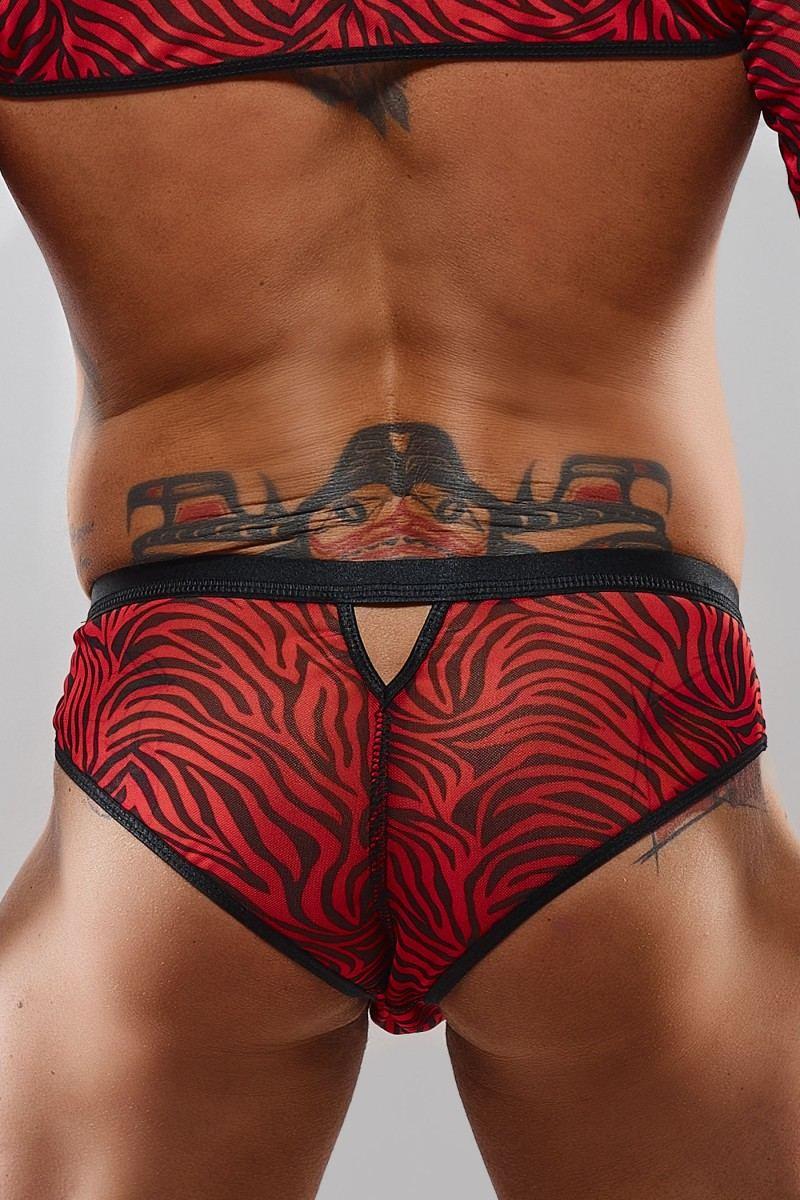 Brazilian briefs - M