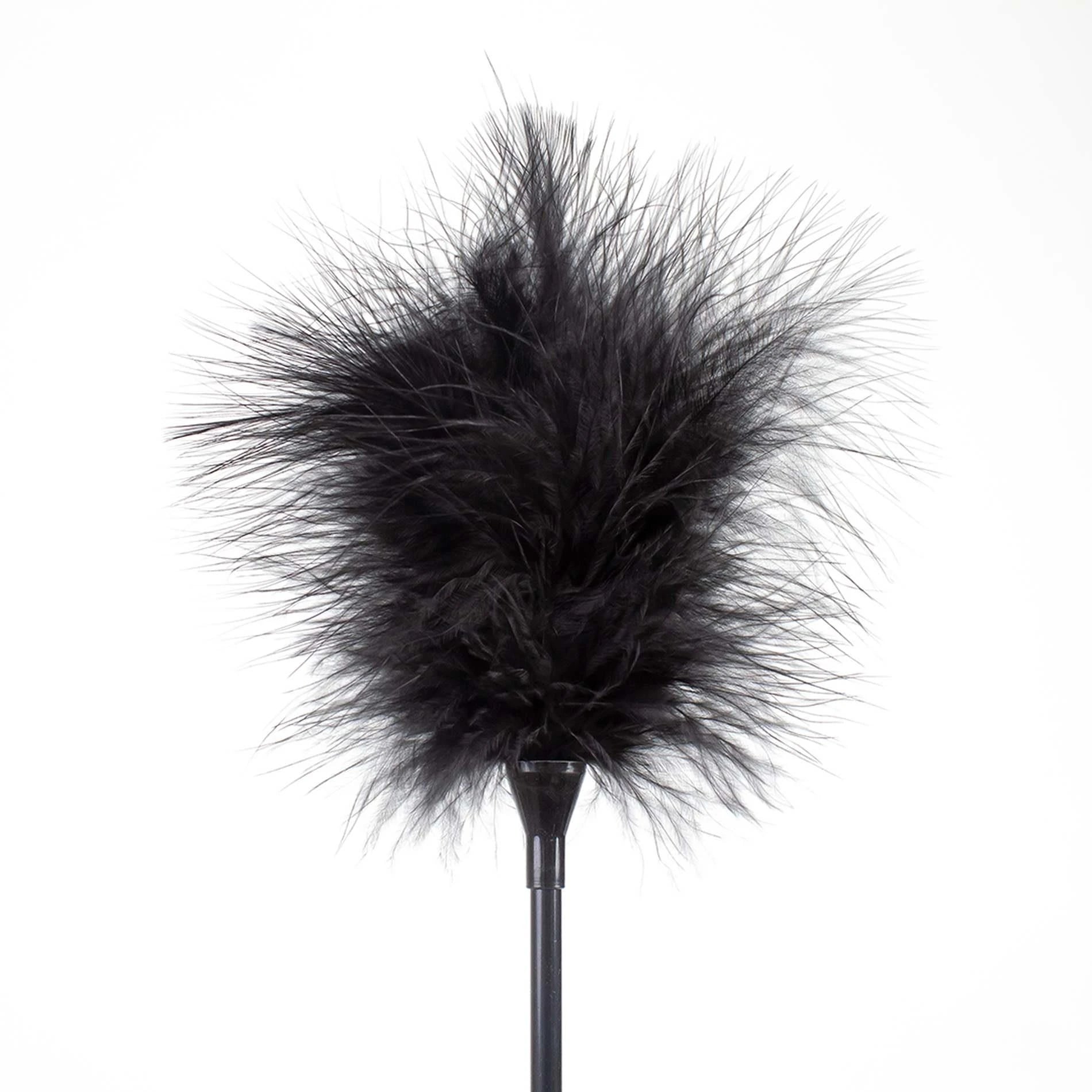 PLUMEAU ET FOUET PLUMES NOIRES