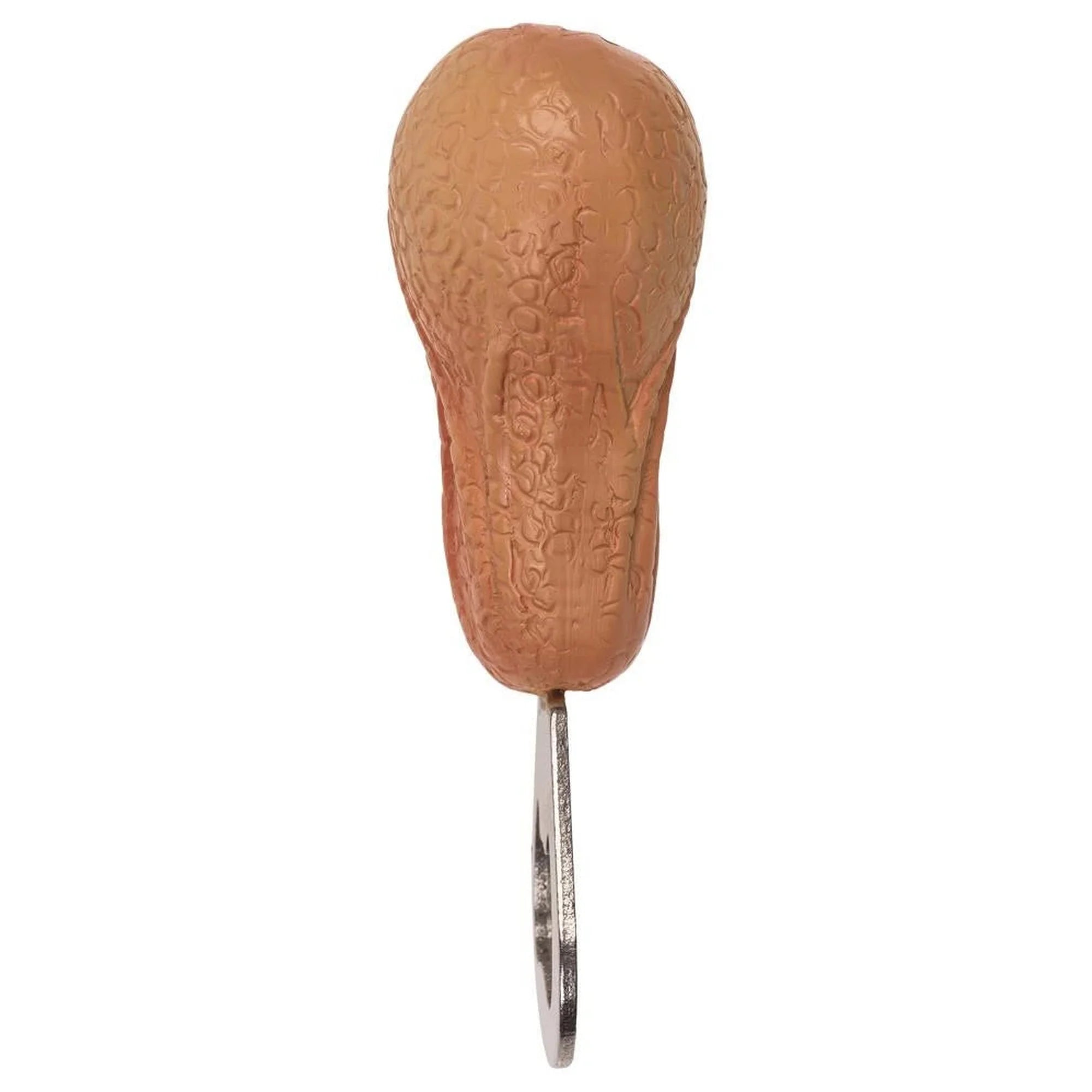 Bottle Opener