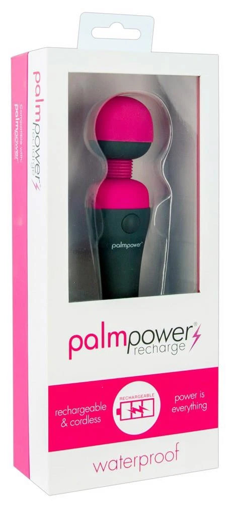 Recharge Palm Power