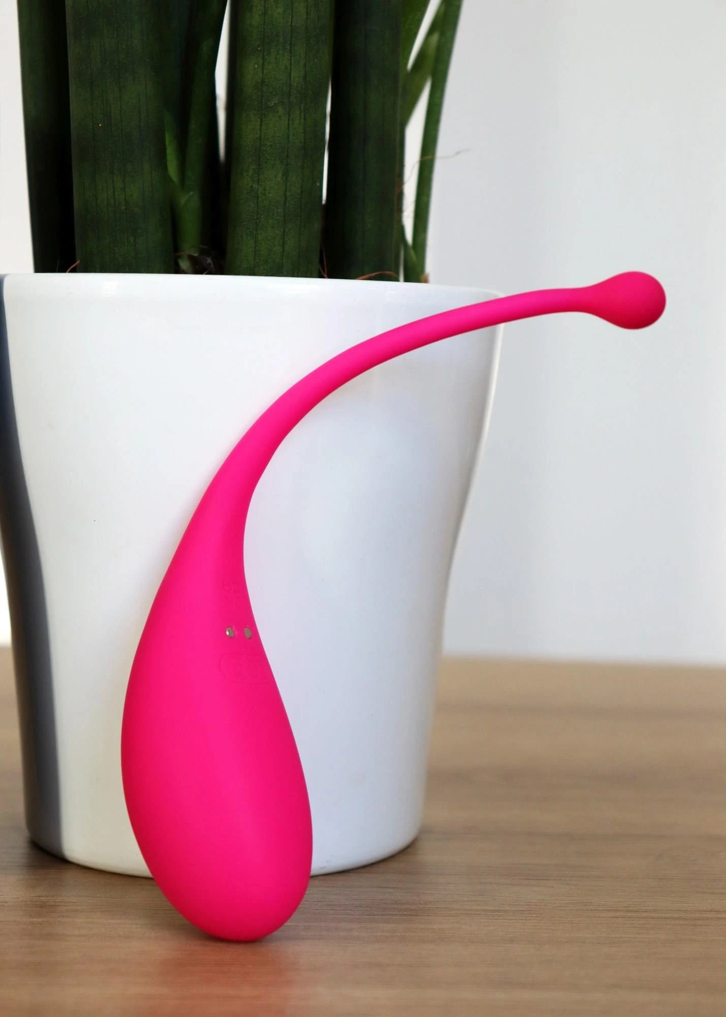 "Smart Egg" - Massager controllato da app
