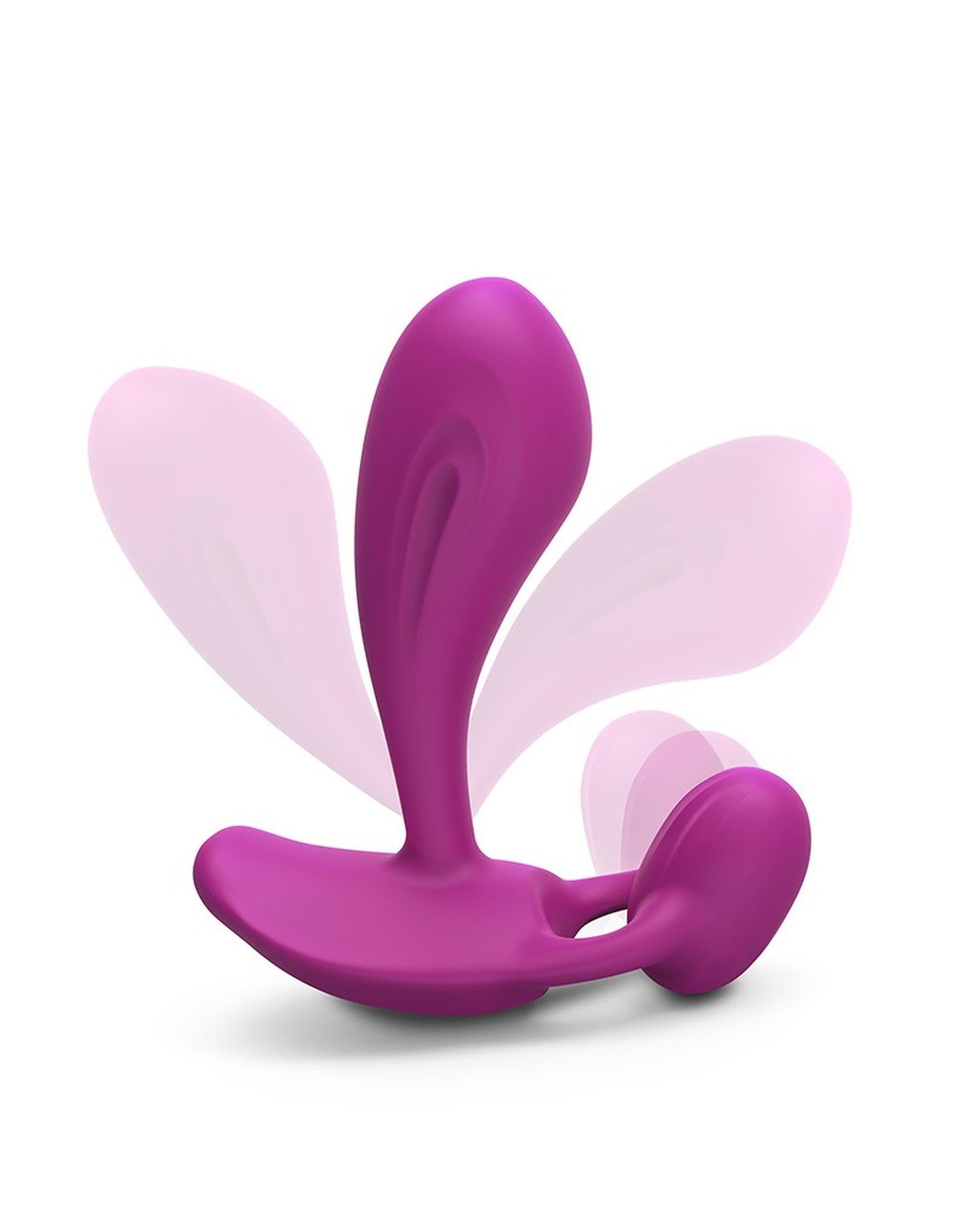 WITTY - ORCHIDÉE DOUCE