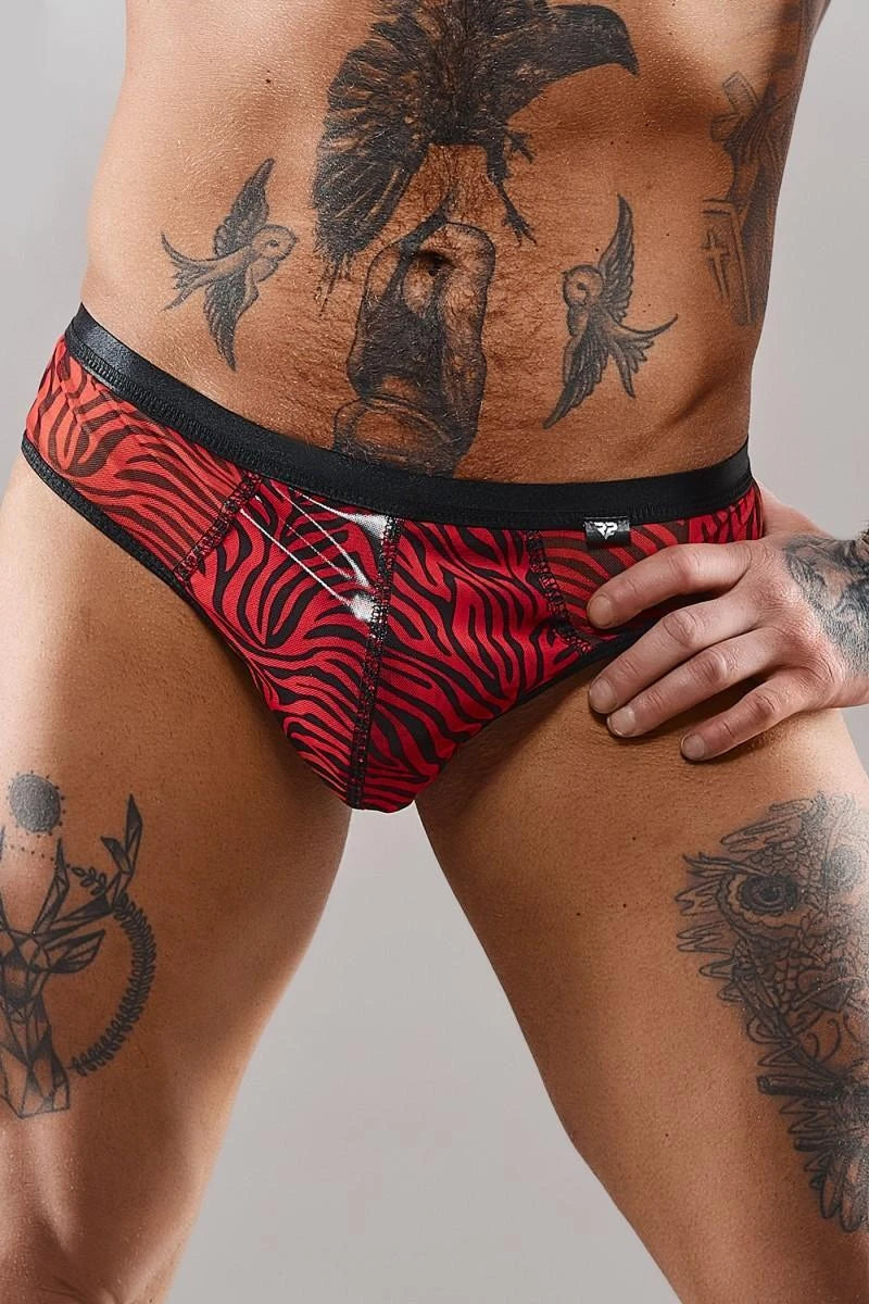 Brazilian briefs - L