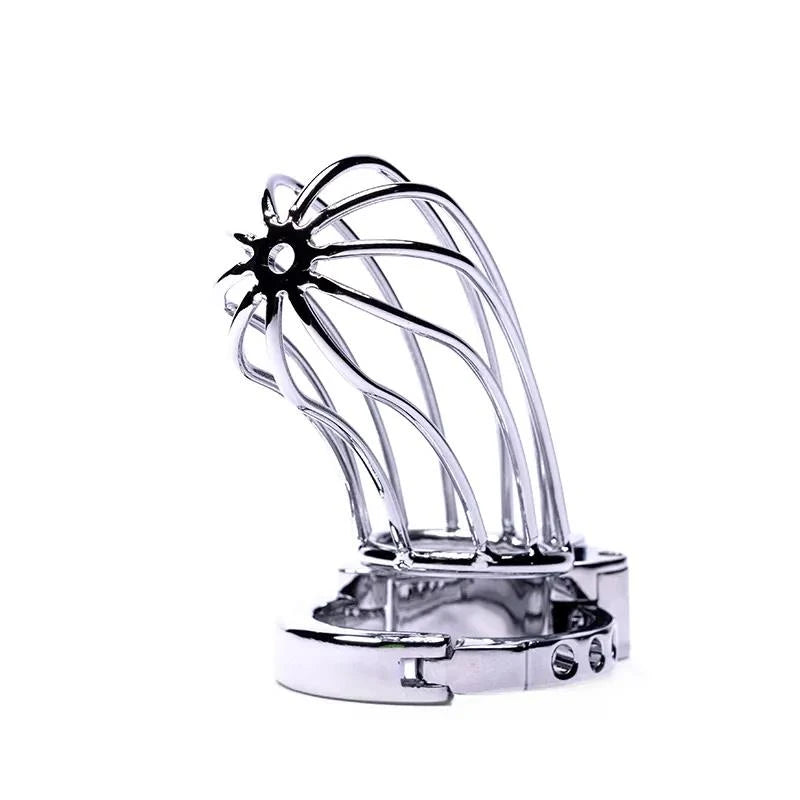 Stainless Steel Penis Cage 2 with Advanced Locking Mechanism