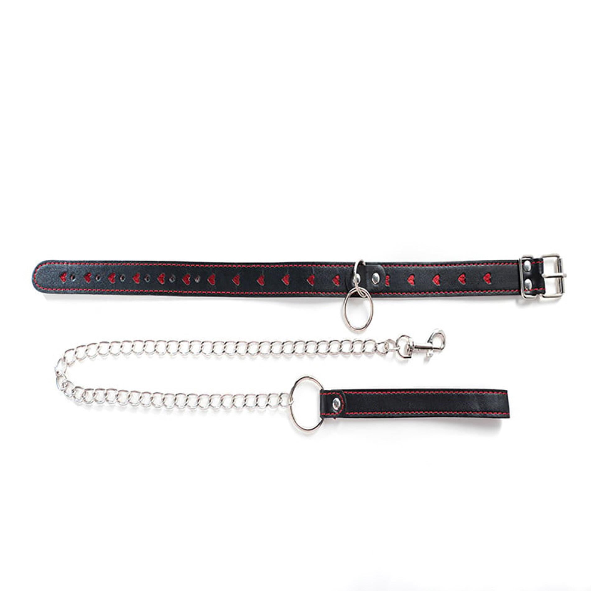 Collier avec laisse détachable