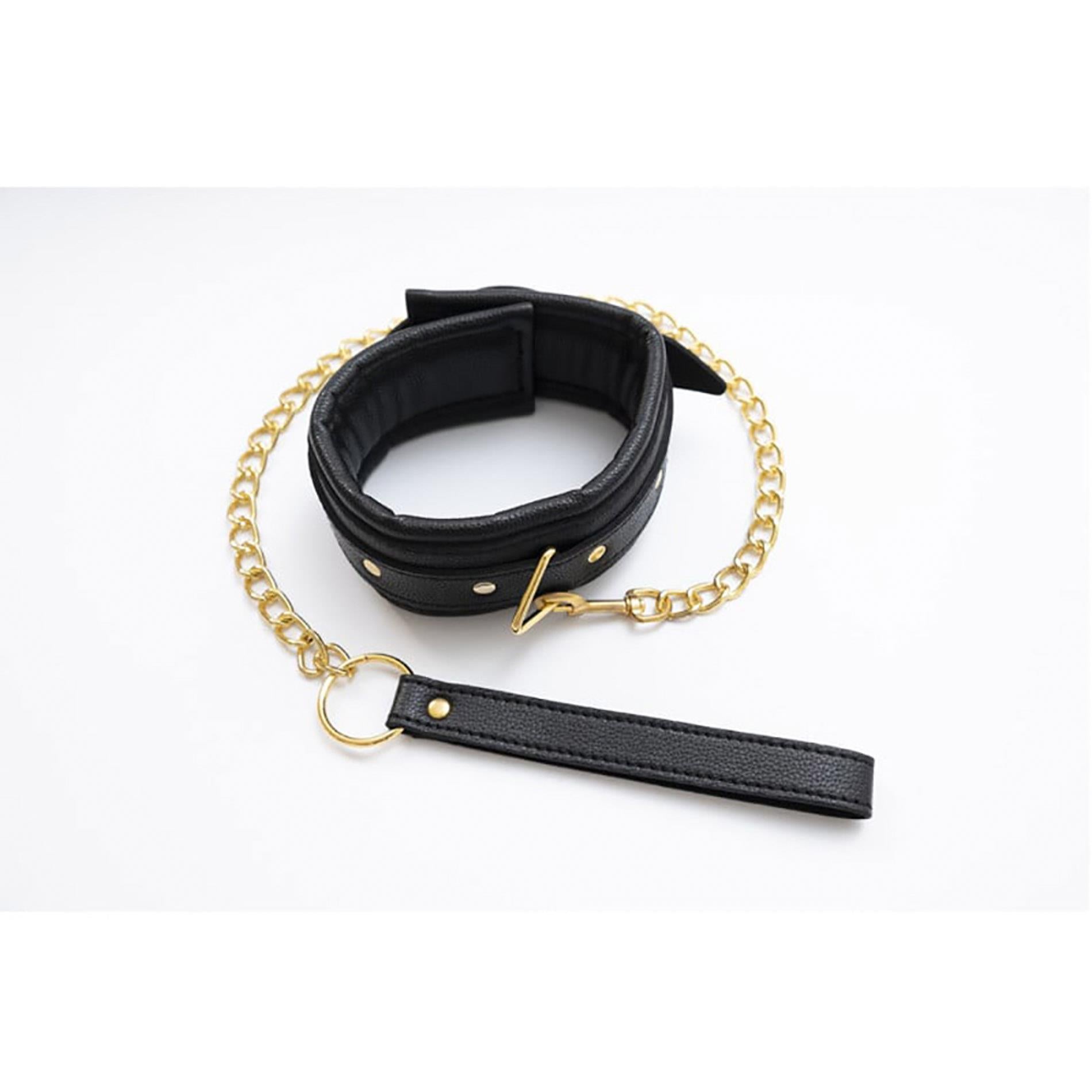 Collier avec laisse détachable