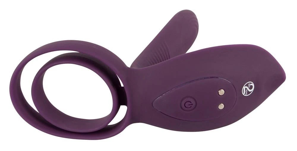 RC Couple‘s Vibrator 2