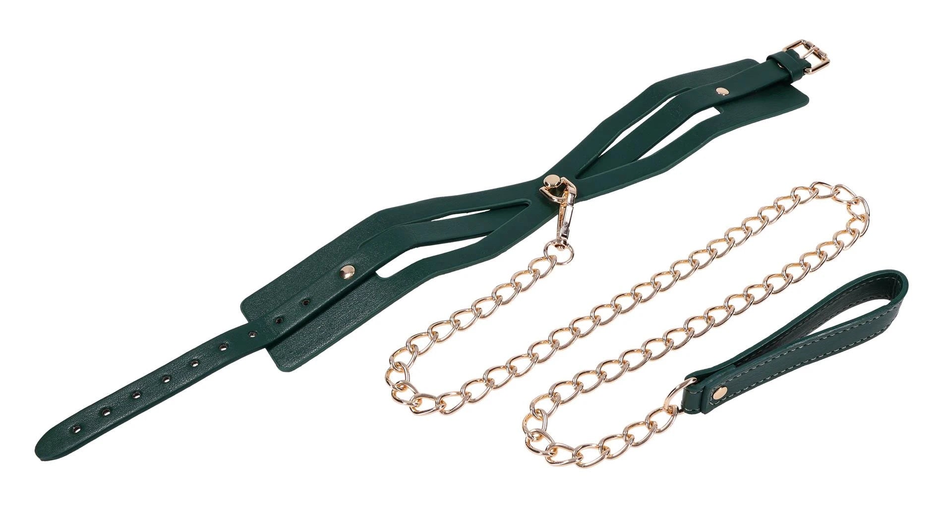 Collier et laisse découpés