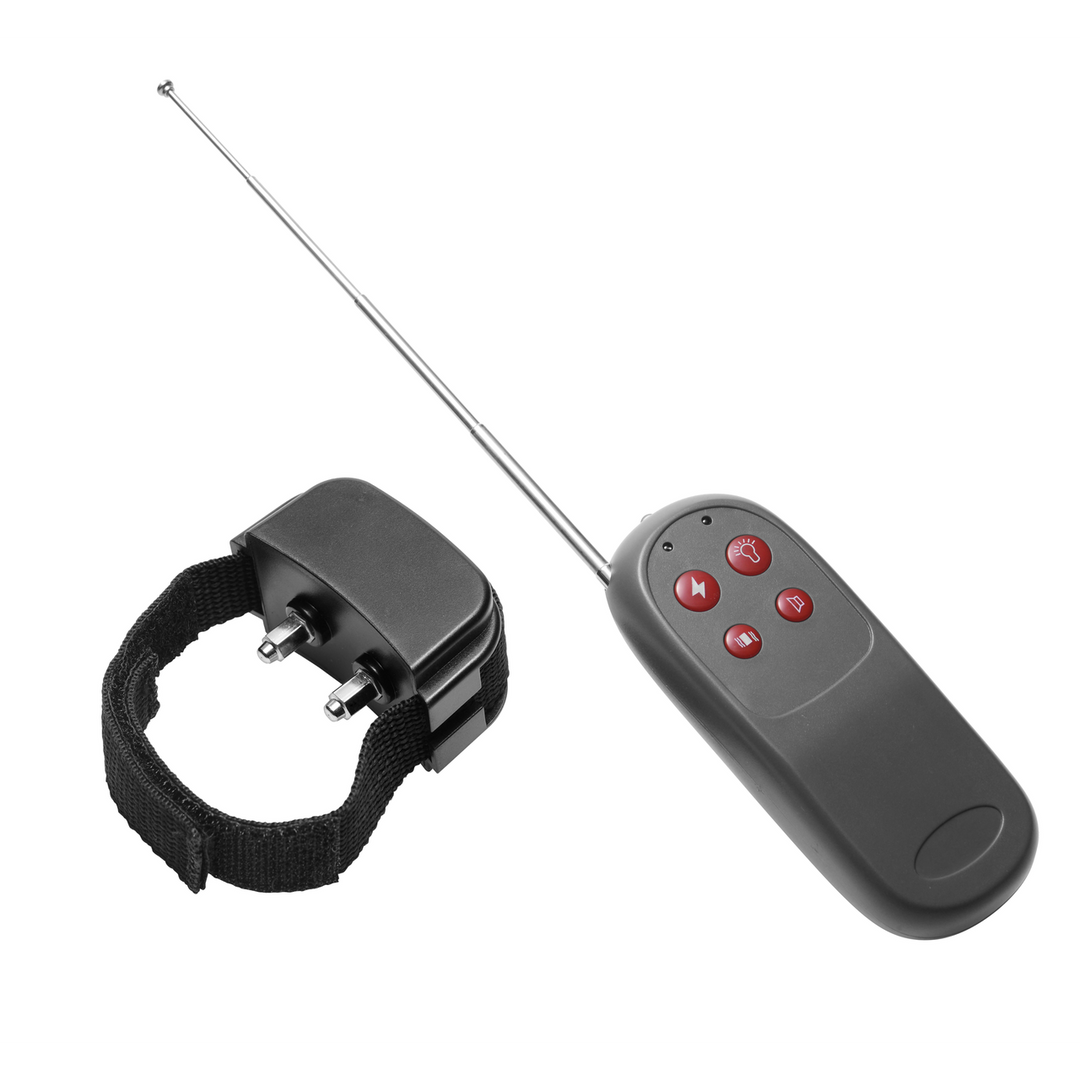 Cock Shock - Anneau pénien électrostimulant avec télécommande