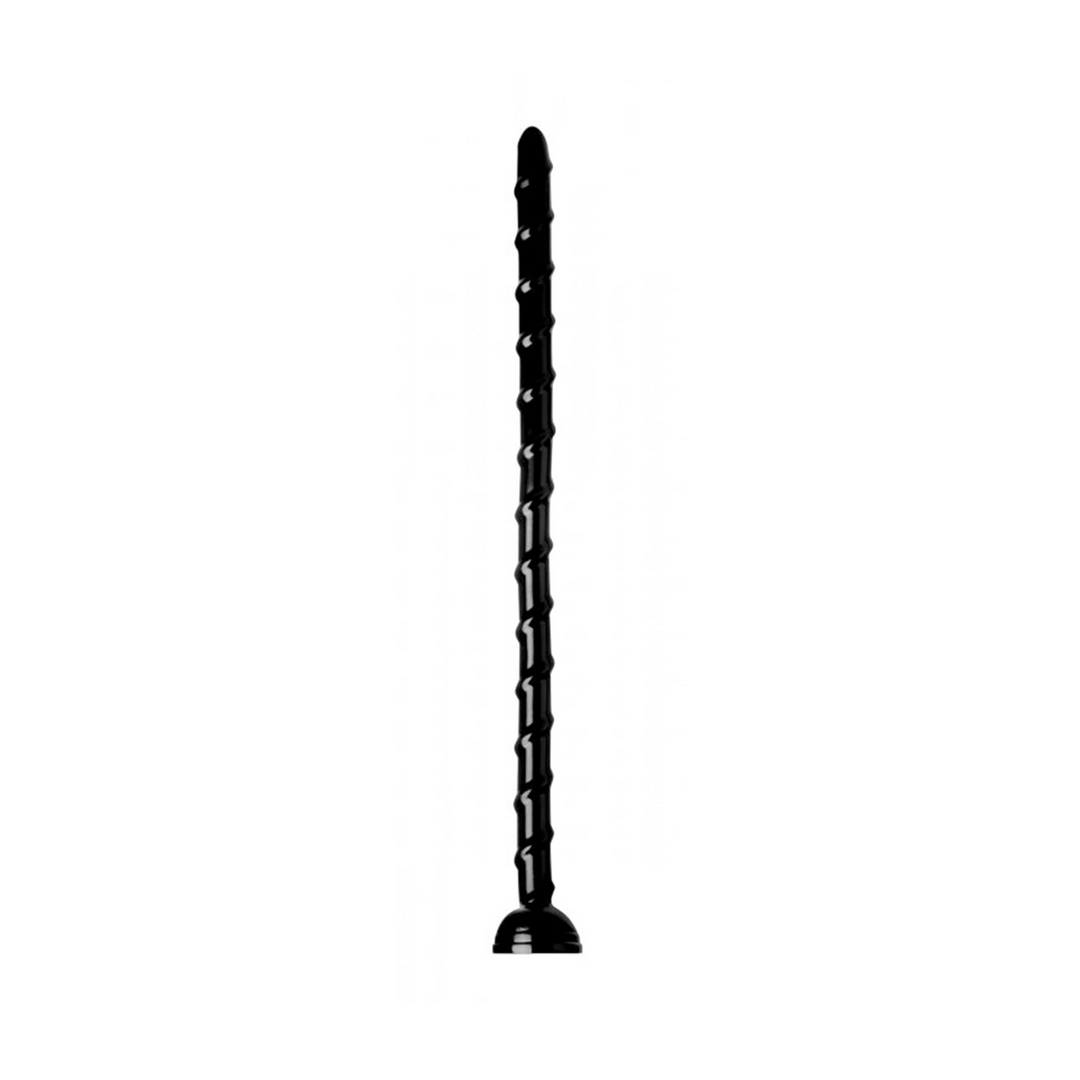 Serpent vertébral - 18 / 46 cm