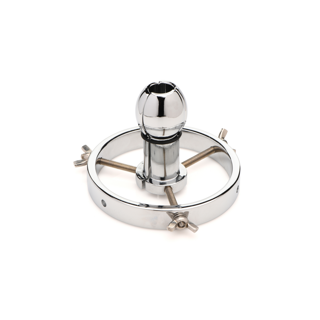 Forced Spread - Stainless Steel Anal Explorer