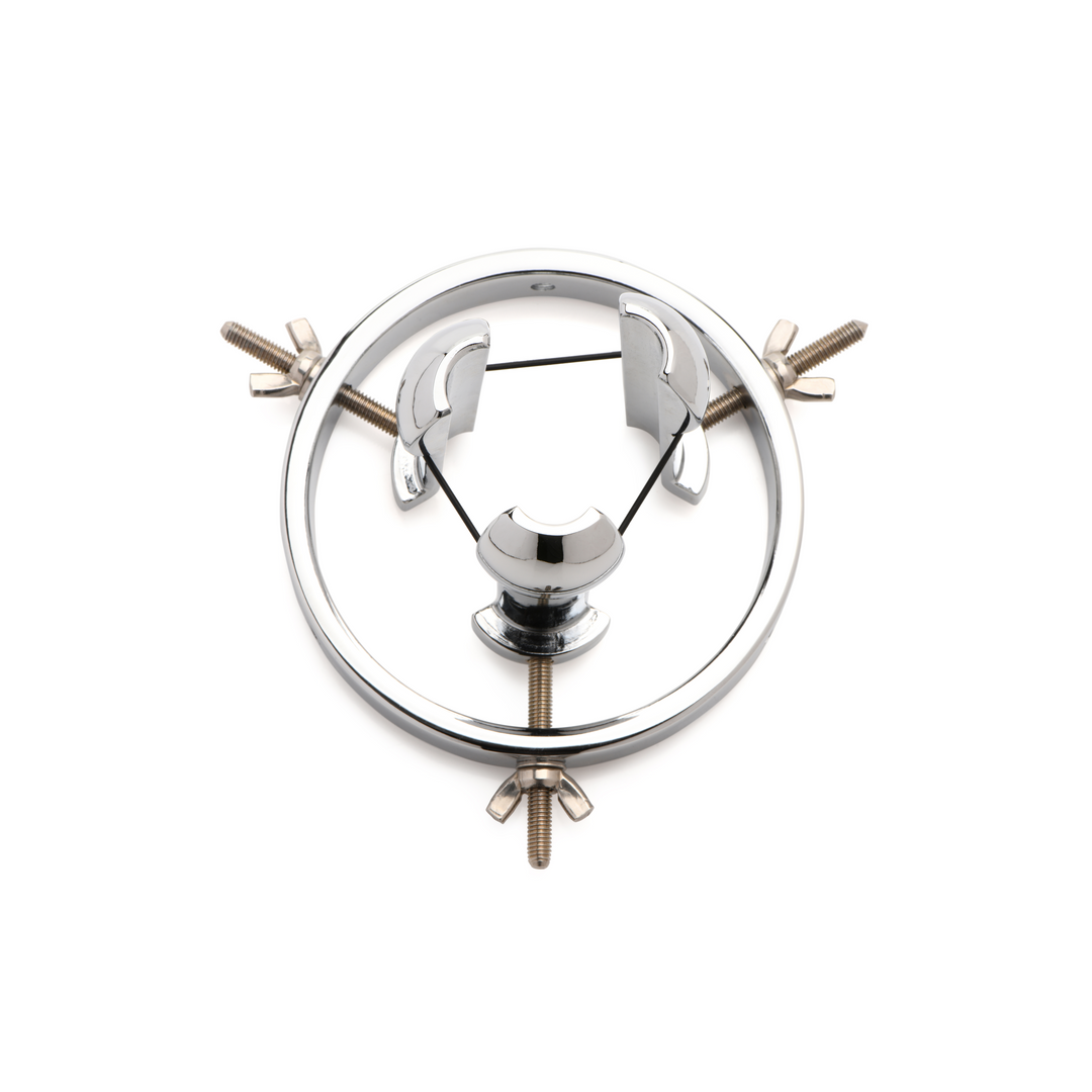 Forced Spread - Stainless Steel Anal Explorer