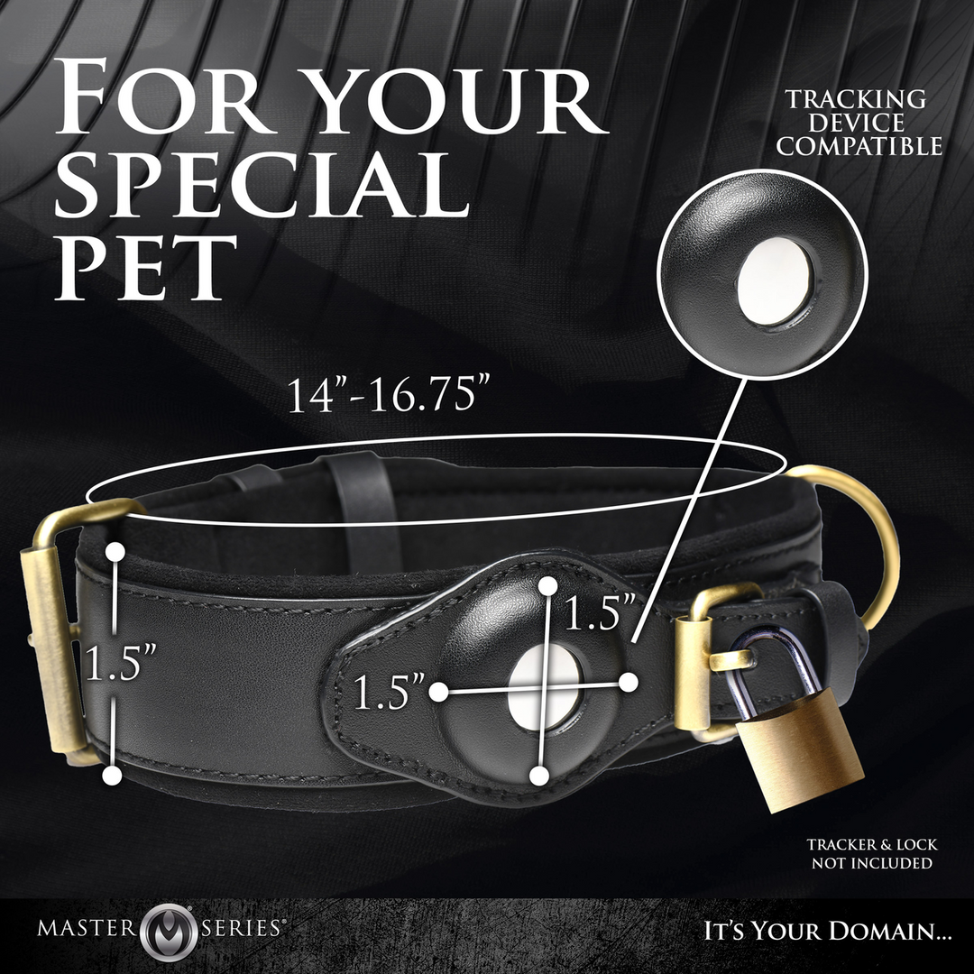 Tracer - Tracking Collar - Black