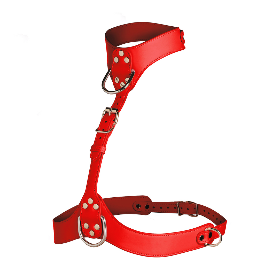 Vixen - Harnais de poitrine pour femme - Rouge