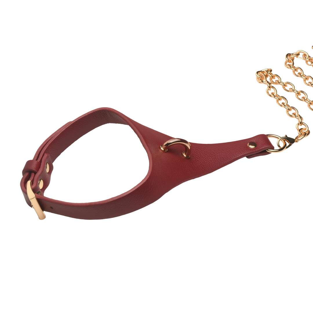 Captivate - Collar with Body Chain - Red/Golden