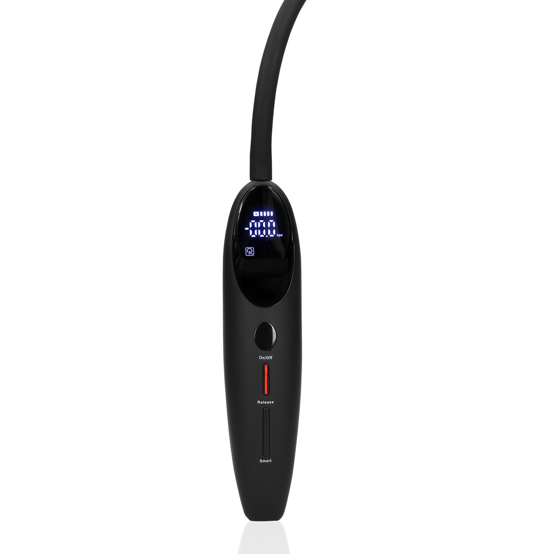 Pompe d'arrosage automatique rechargeable - Noire