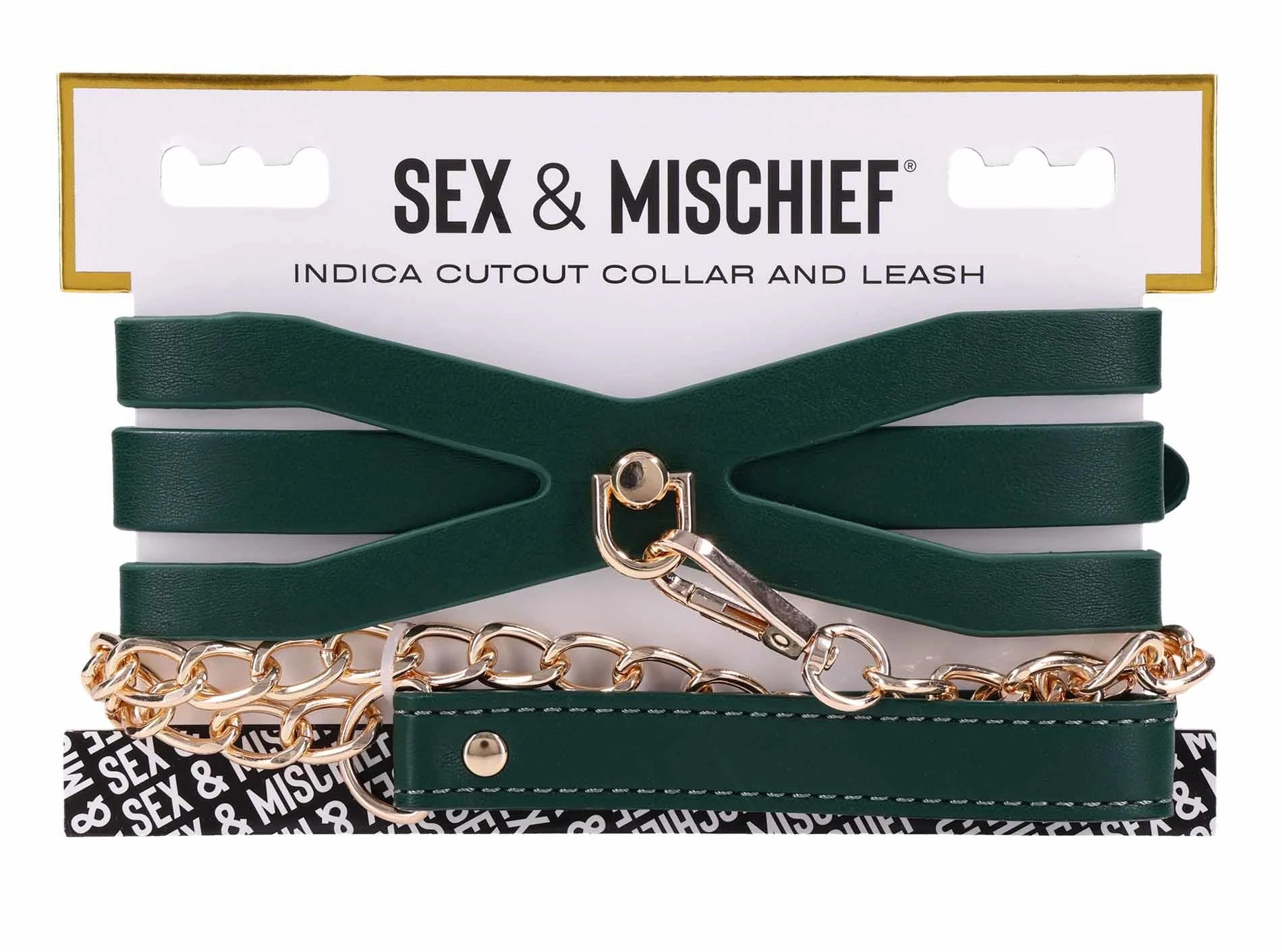 Collier et laisse découpés