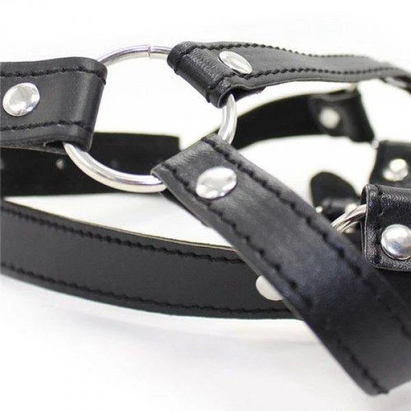 Knebel-Head Harness with Ring Gag