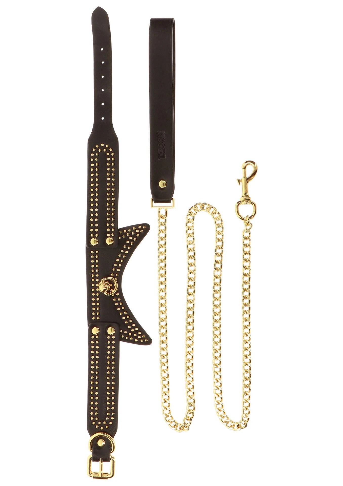 Collier et laisse cloutés noirs