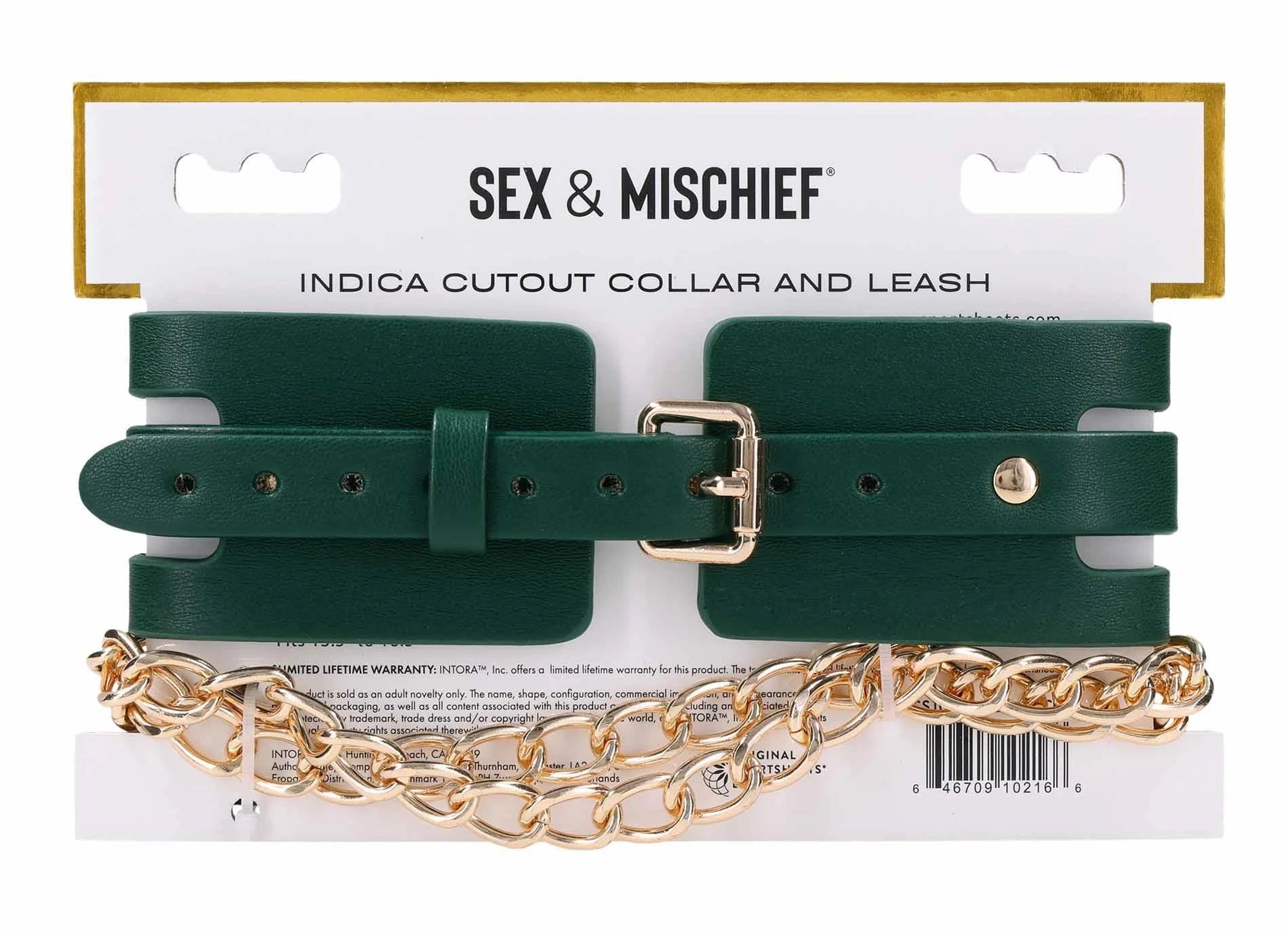 Collier et laisse découpés