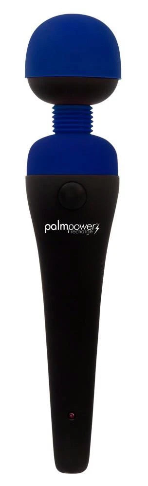 palmpower recharge bleu