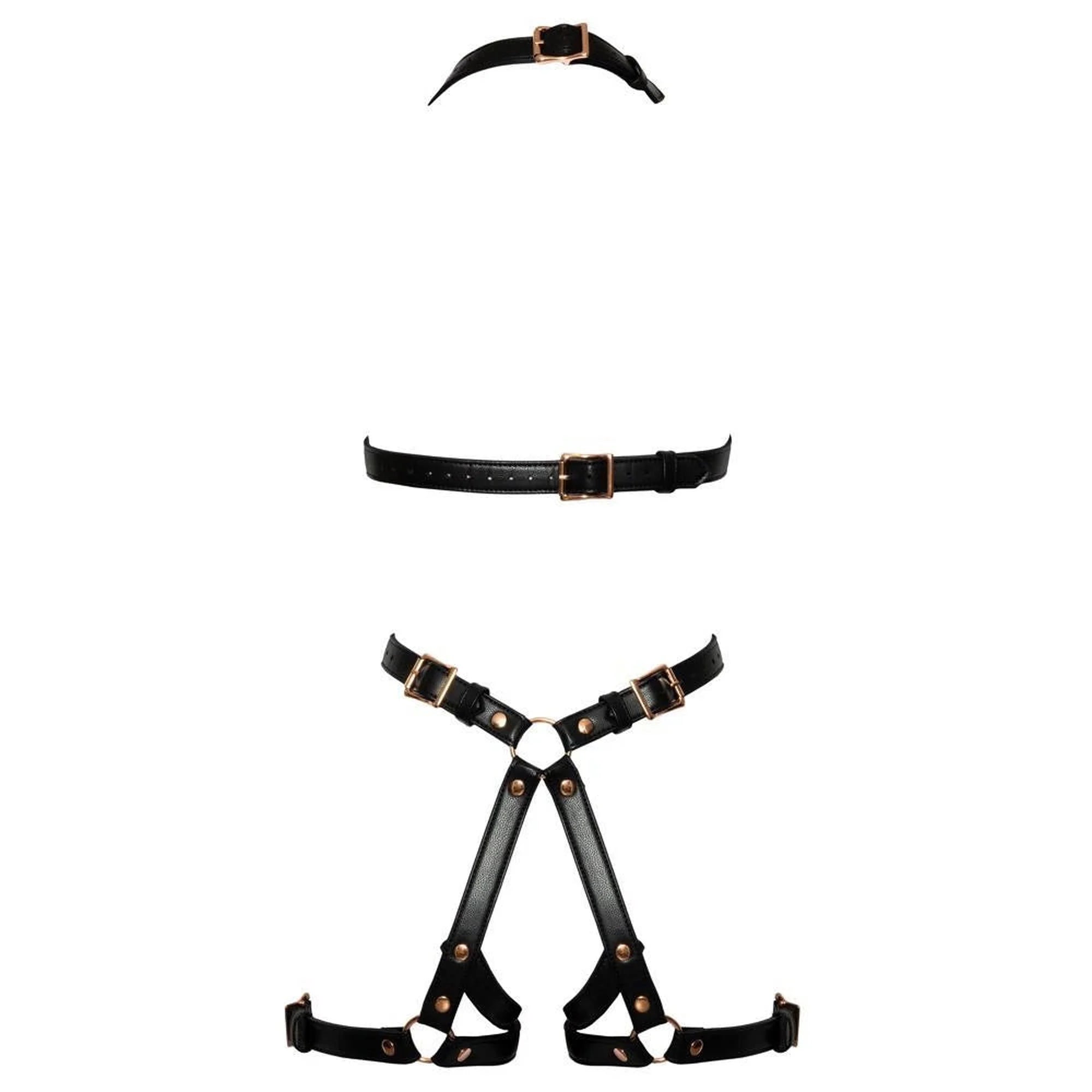 Harness