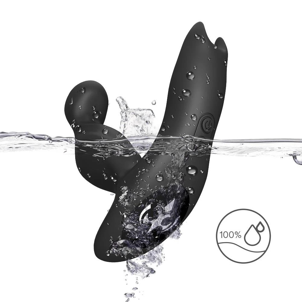 Roi chauve-souris noir