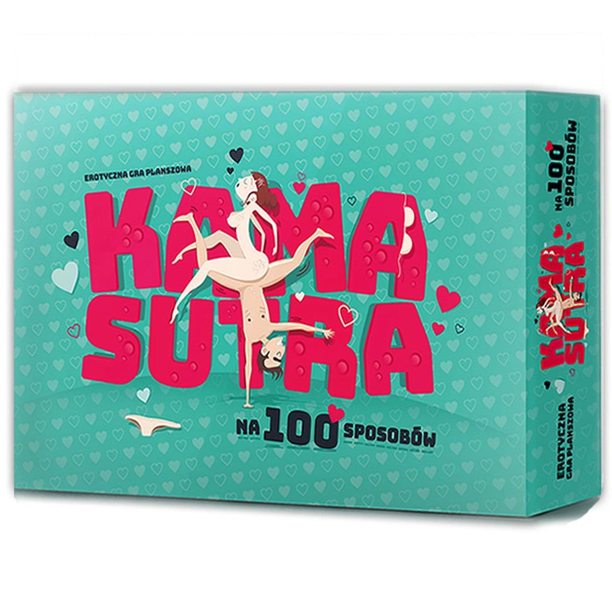 Kama-sutra gay en 100 positions