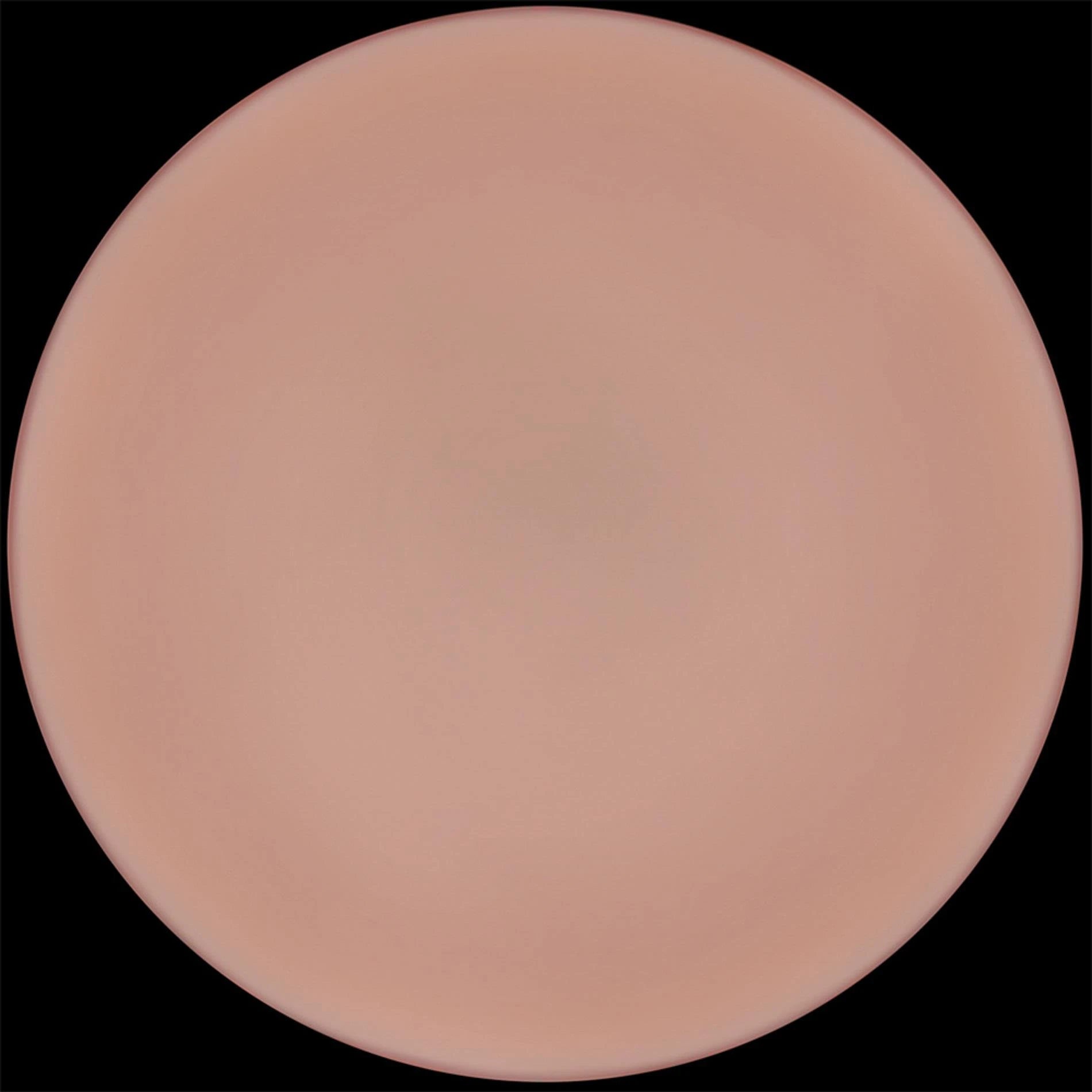 9'' Sliding Skin Pro II Dual Layer Silicone Dong
