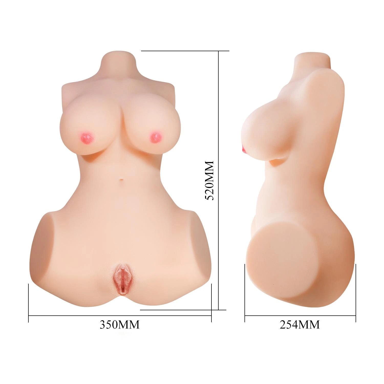 Aveline Realistic Female Torso