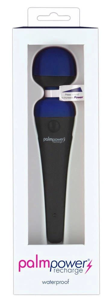 palmpower recharge bleu