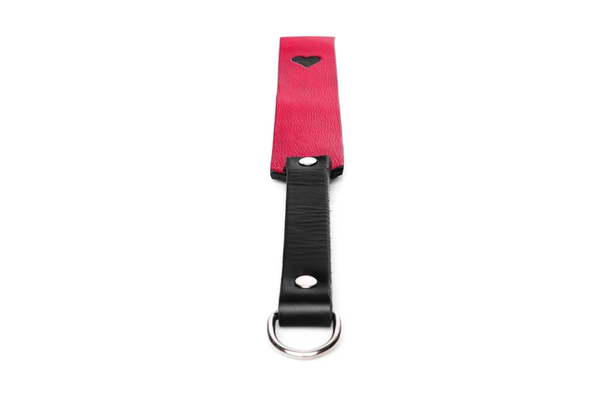 Pejcz-WHIPS heart paddle