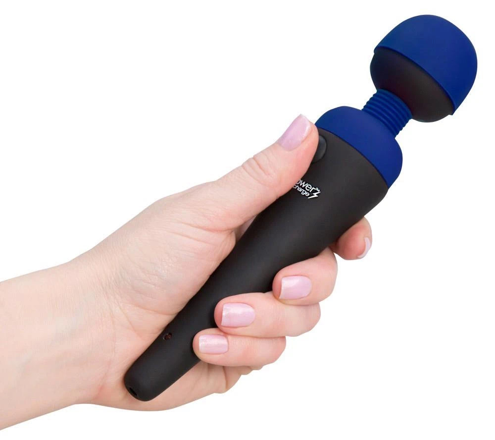 palmpower recharge bleu